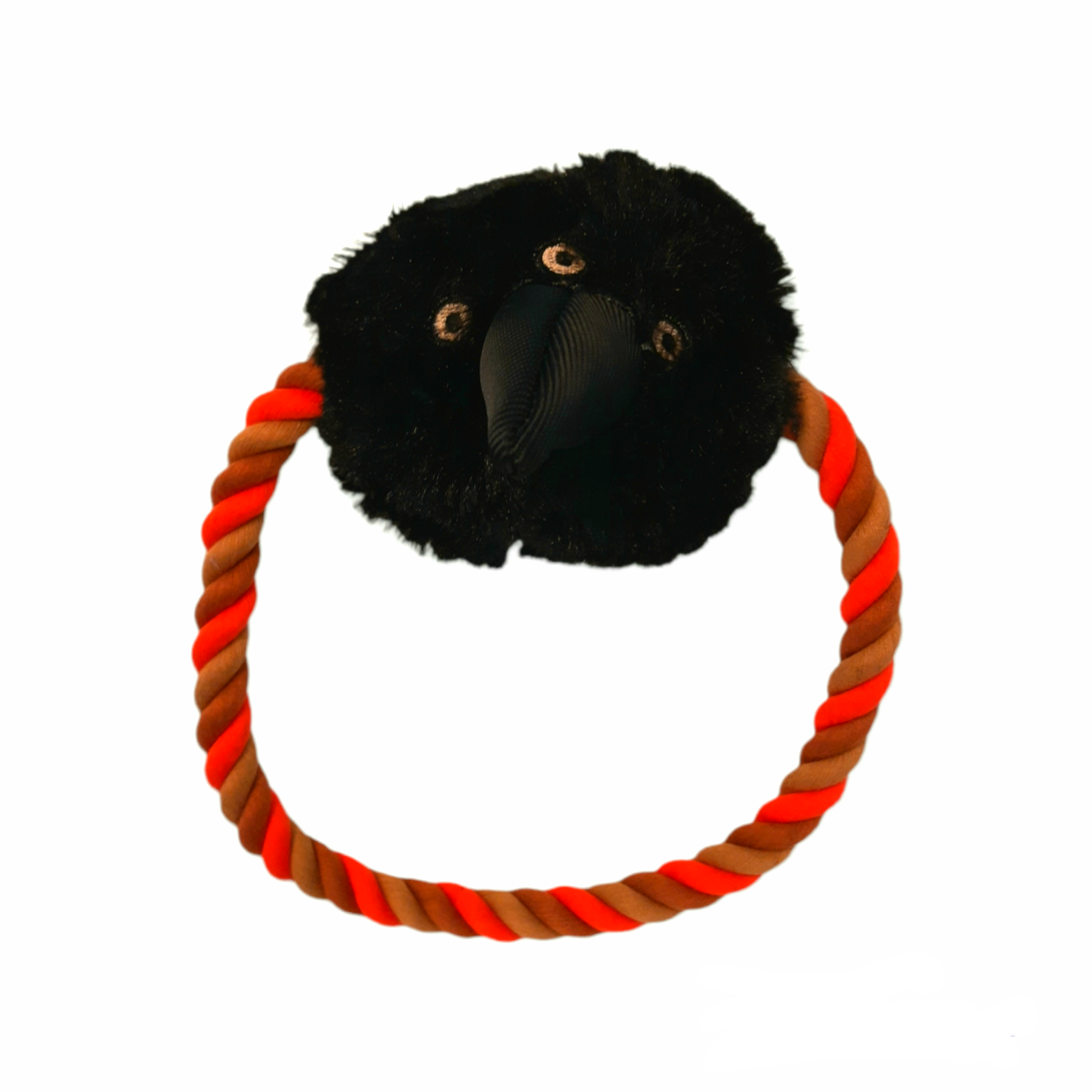 Crow With Rope