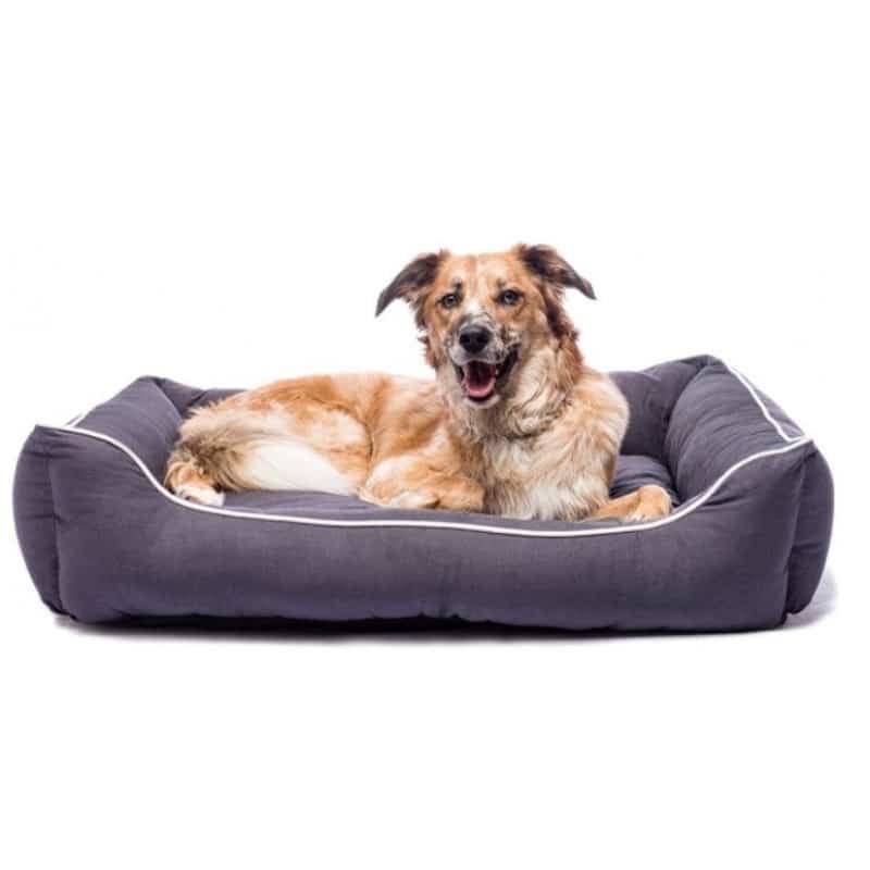 Dog Gone Smart Lounger Hundeseng Brun