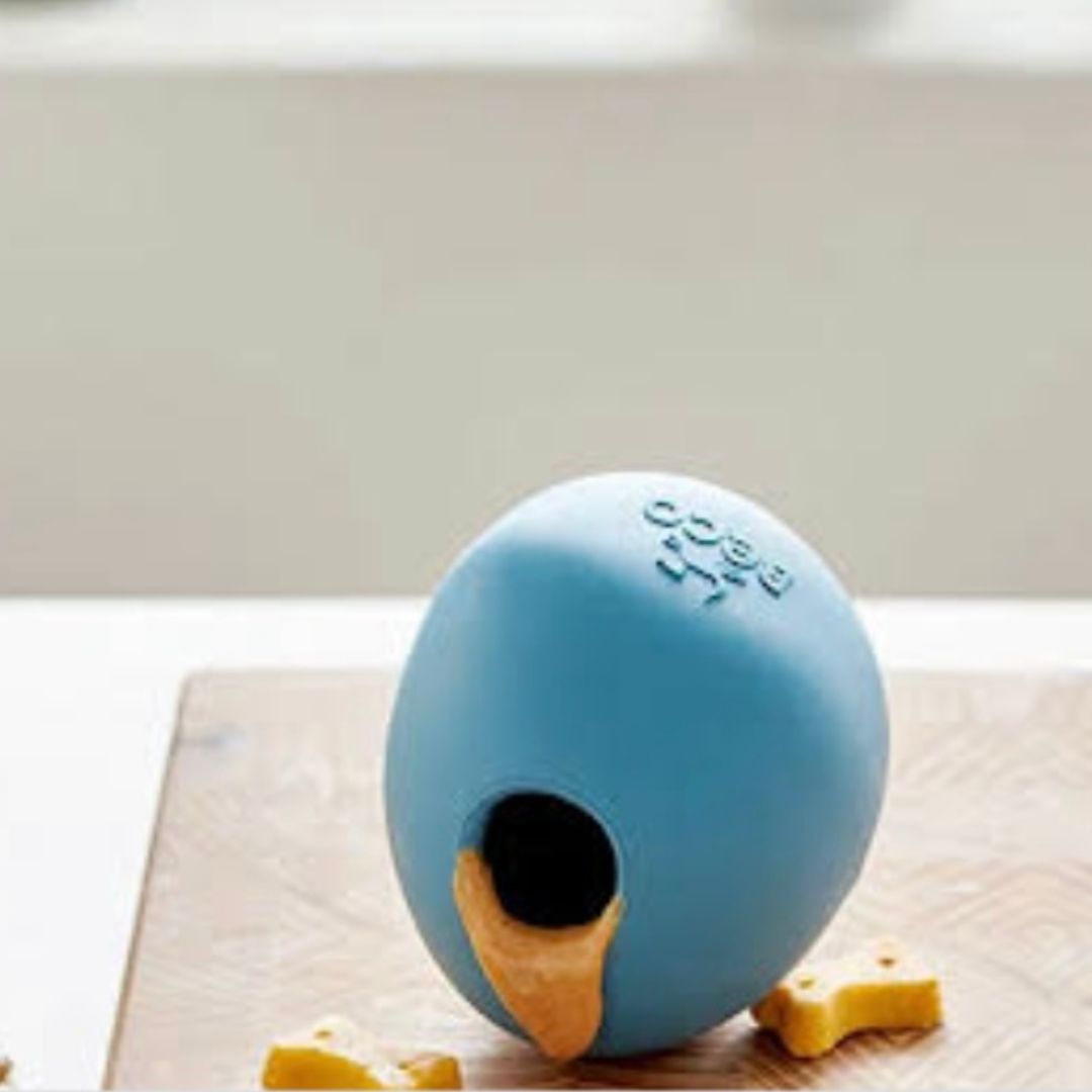 Aktivitetsbold Rund Blå