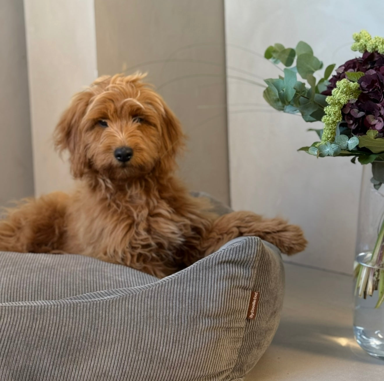 Bjørk Hundekurv Smal Fløjl Grå