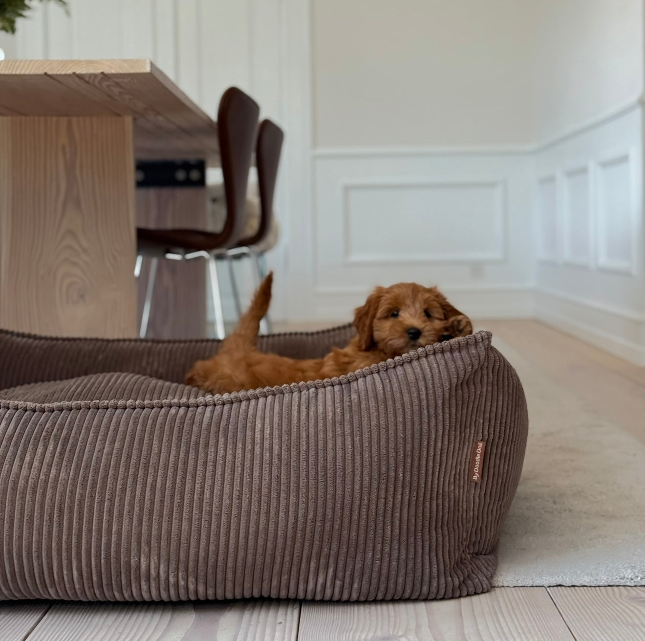 Carl Hundekurven Mørk Brun Forudbestilling Uge