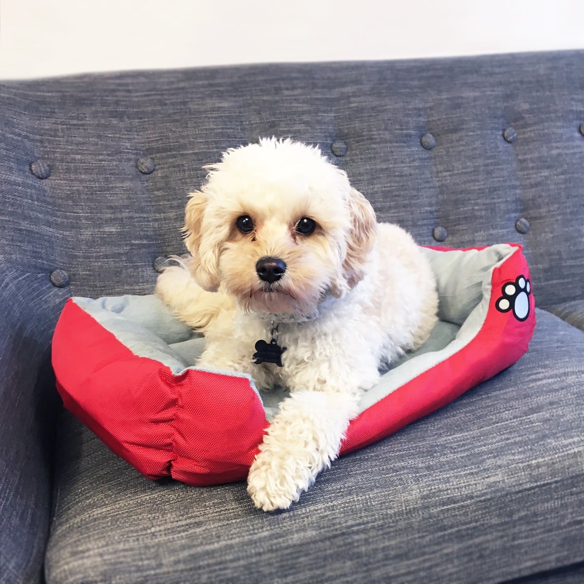 Hundekurv Kattekurv Flere Farver Rød