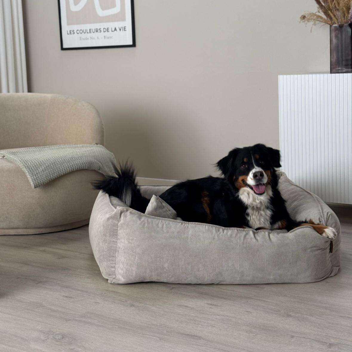 Carl Hundekurv Beige