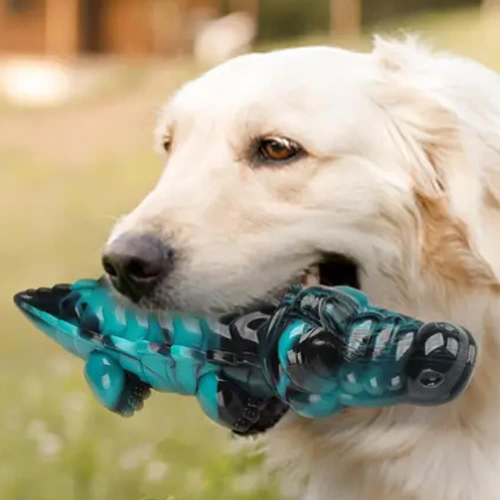 Krokodille Tyggelegetøj Til Hunde Ekstremt Holdbart Tandrensende