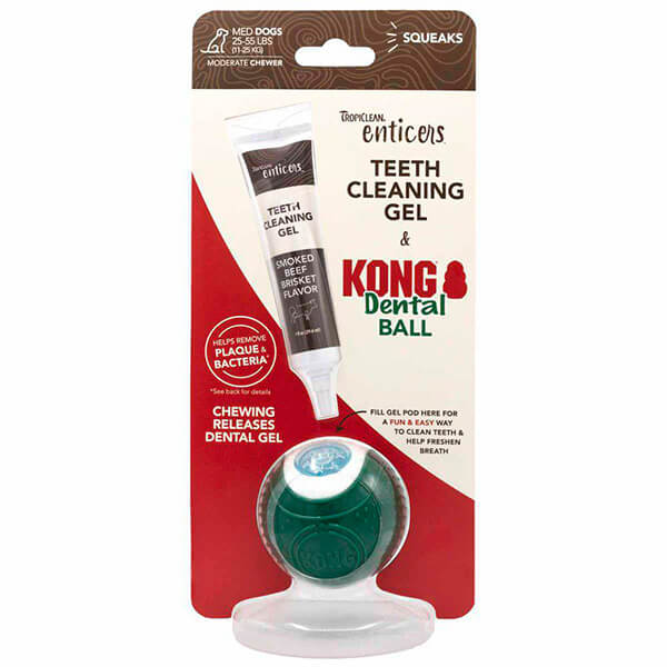 Kong Dental Ball   Teeth Cleaning Gel