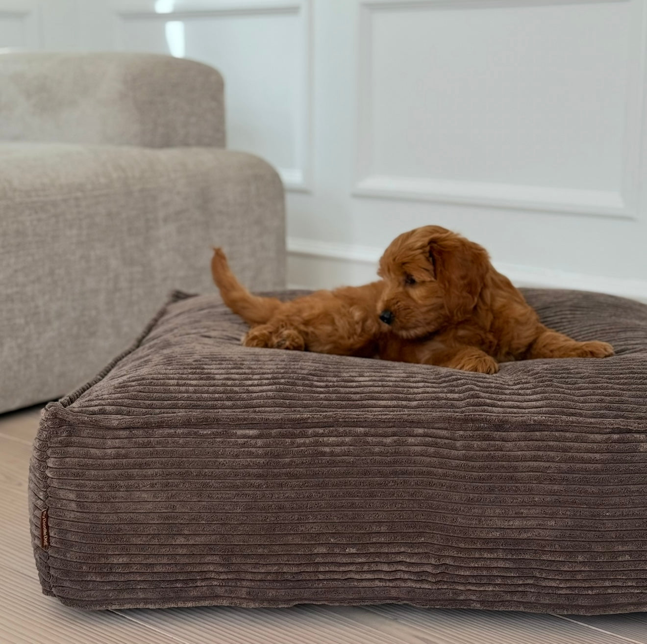 Frede Hundekurven Mørk Brun Medium