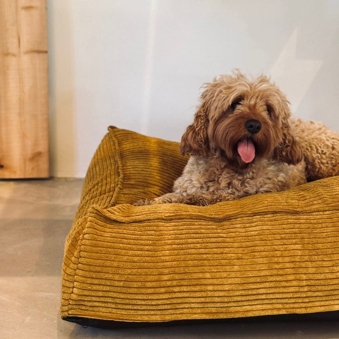 Frede Hundekurven Karry
