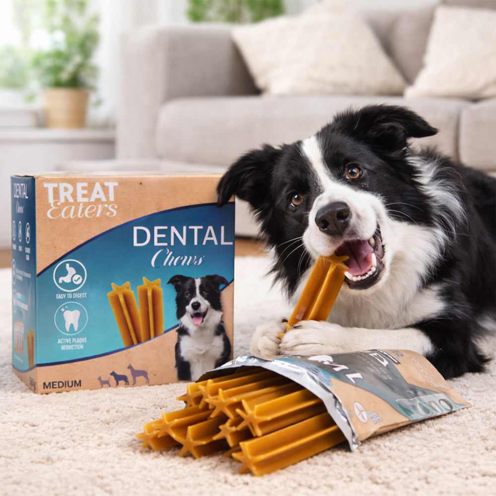 Dental Tyggeben Til Hund Sund Mund   Frisk ånde 7x4 560g