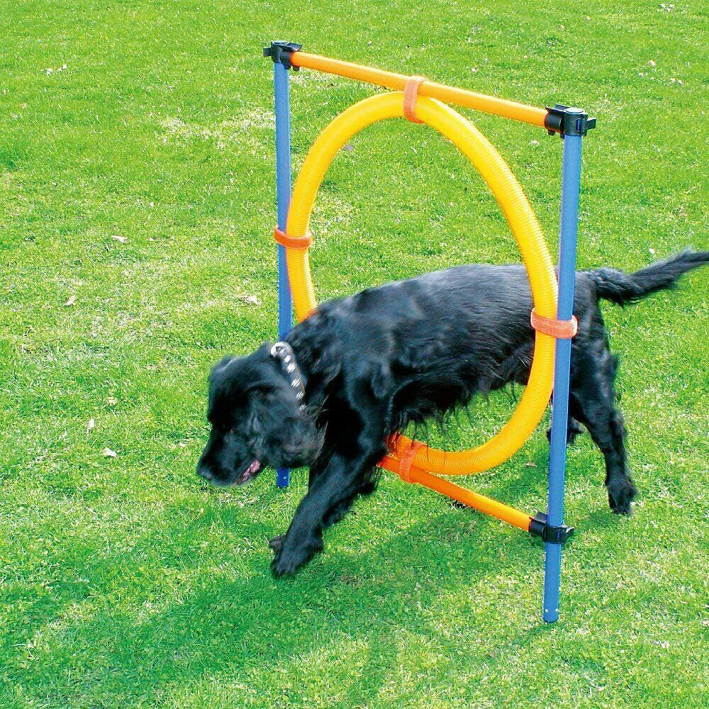 Pawise Agility Ring 55cm