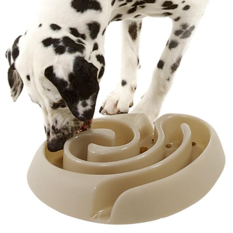 Buster Dog Maze Pink