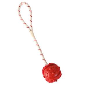 Trixie Bold Snor Flydende Assorterede Farver