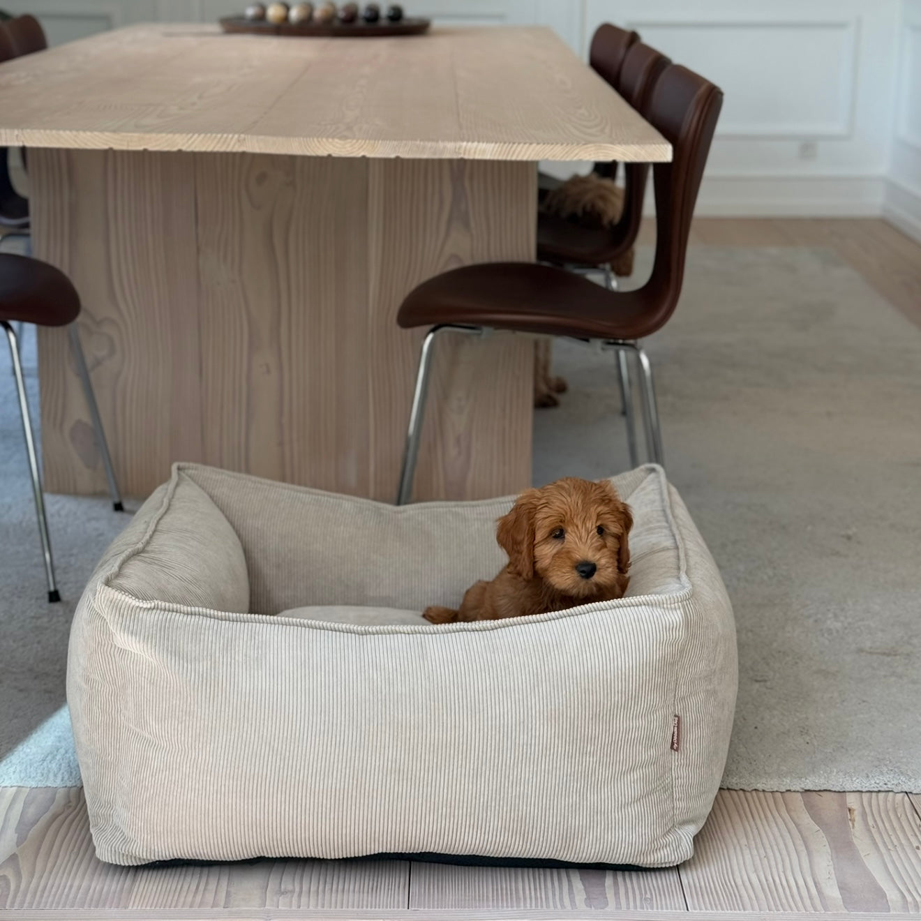 Carl Hundekurven Beige Smal Fløjl