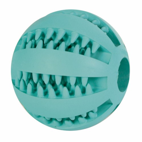 Trixie Mintfresh Dental Bold