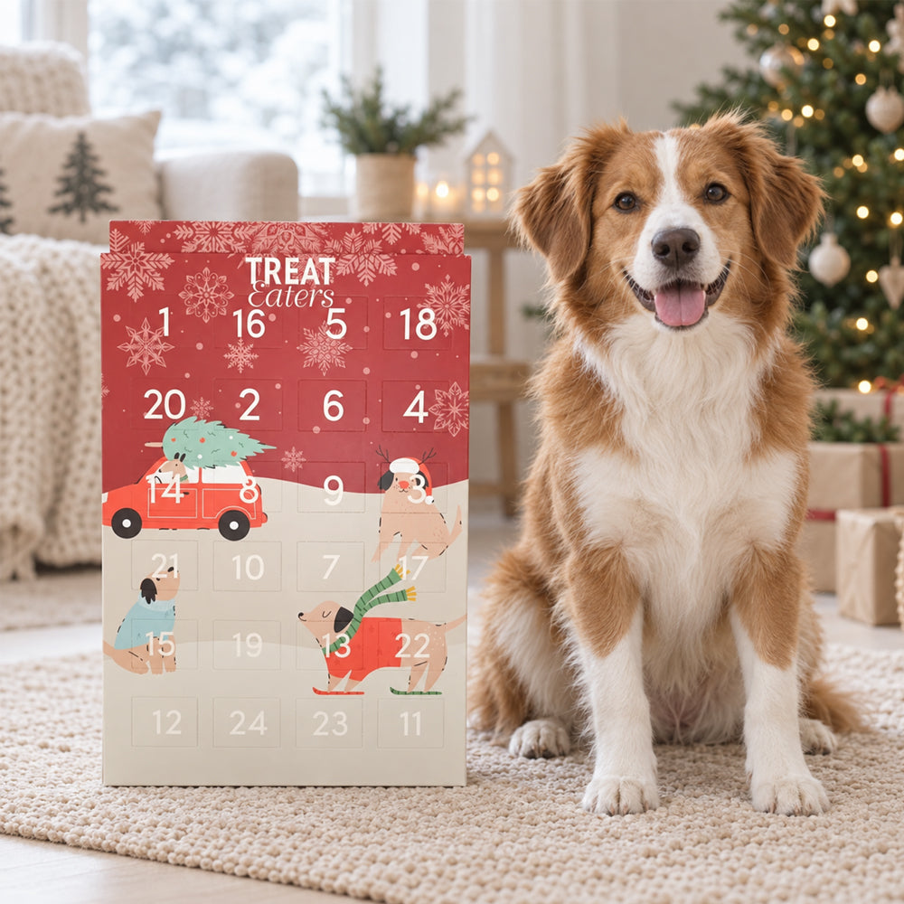 Julekalender Til Hunde Låger Med Små Tyggeben