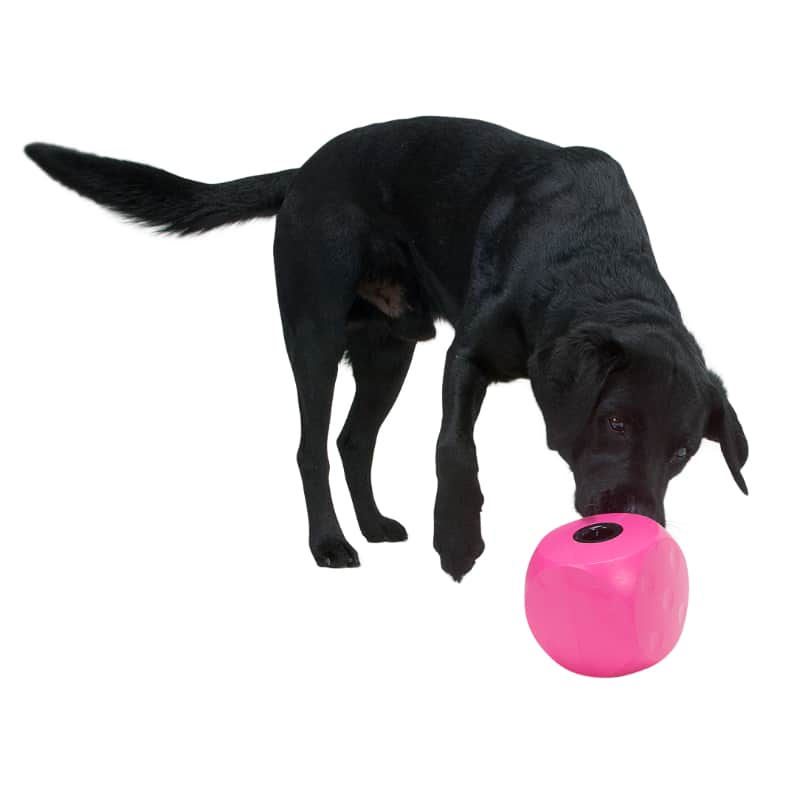 Buster Food Cube Lilla
