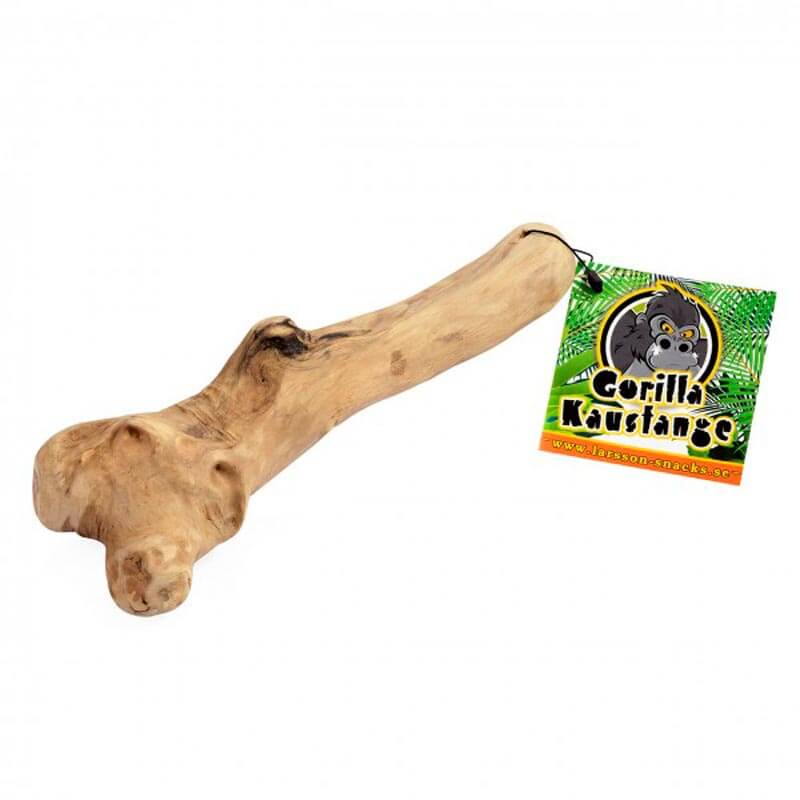 Gorilla Tyggeben Kaffetræ